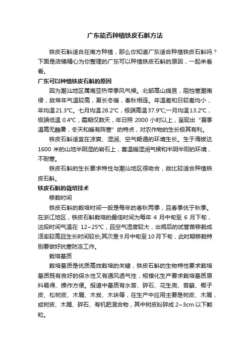 广东能否种植铁皮石斛方法