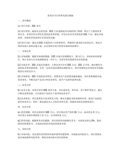 某项目可行性研究报告模板
