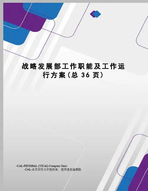 战略发展部工作职能及工作运行方案