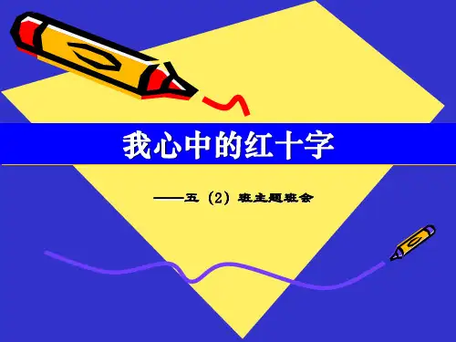 红十字PPT