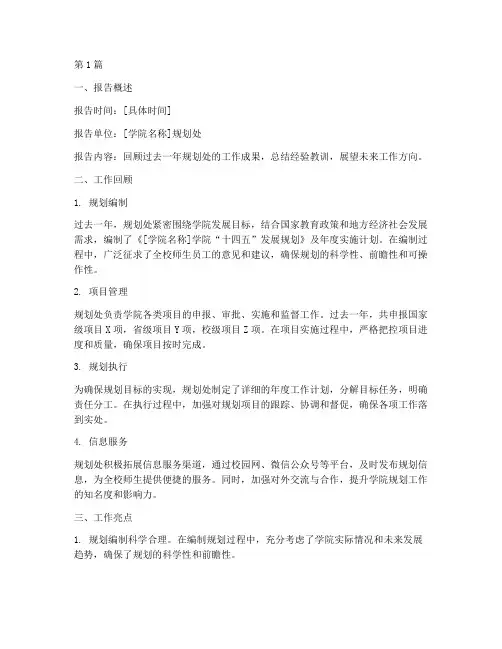学院规划处总结报告范文(3篇)
