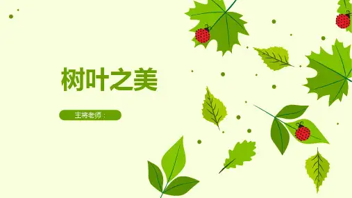 树叶之美 树叶知识科普
