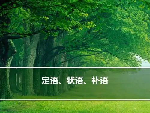 英语语法定语状语补语 PPT