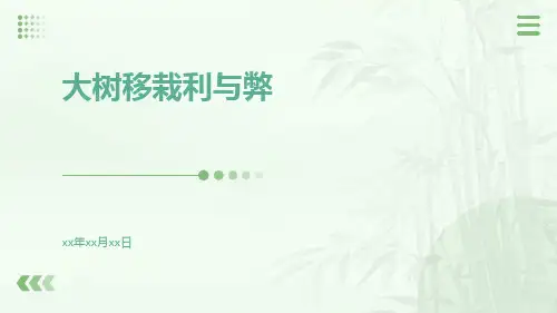 大树移栽利与弊