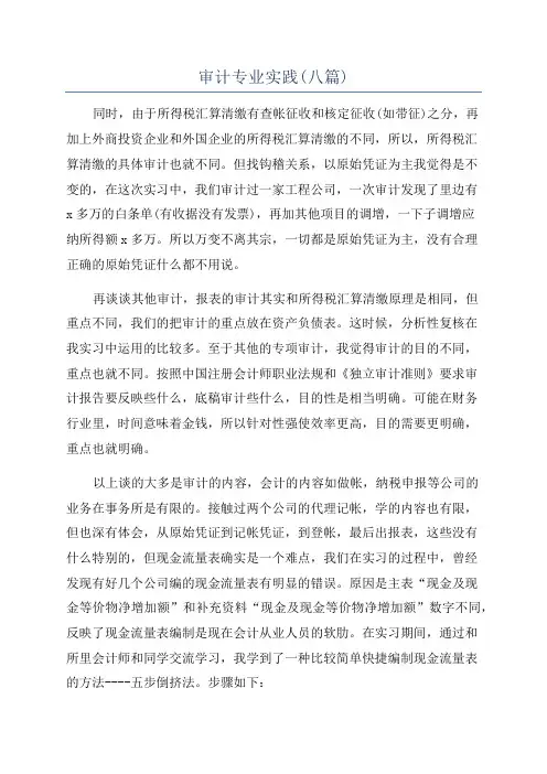 审计专业实践(八篇)