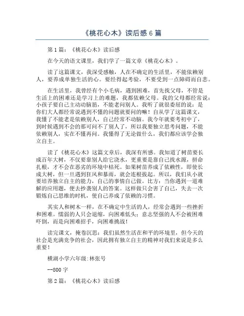《桃花心木》读后感6篇