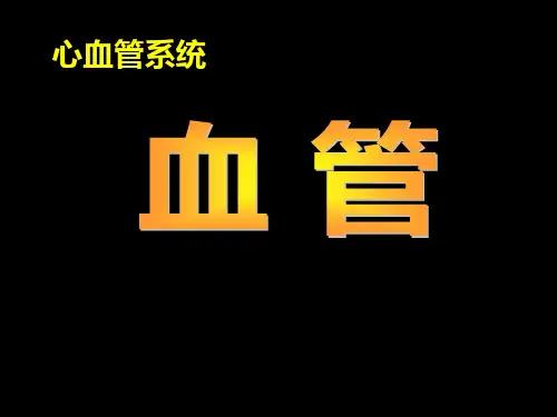 人体系统解剖学局部解剖学PPT课件 心血管系统 血管体循环