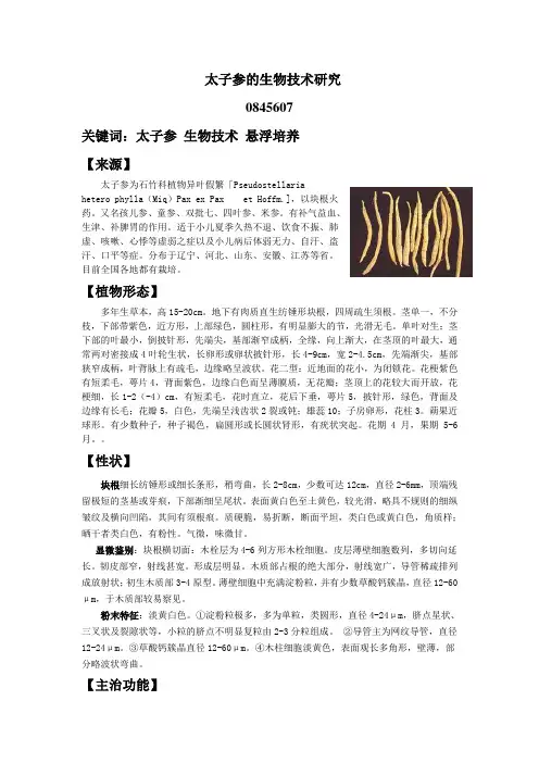 太子参的研究