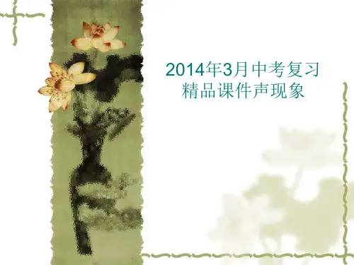 人教版2014年中考复习声现象精品课件PPT课件