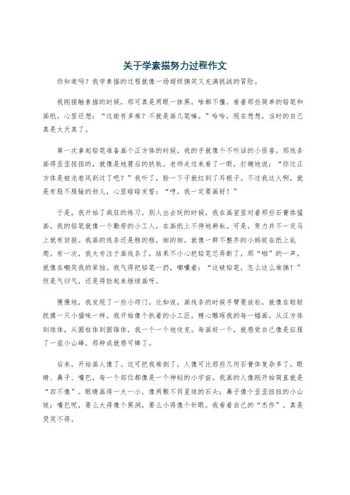 关于学素描努力过程作文