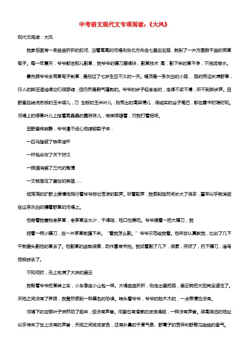 中考语文现代文专项阅读《大风》(1)