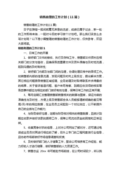 销售助理的工作计划（11篇）