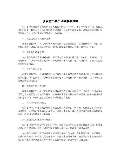 谈农村小学小班额教学策略