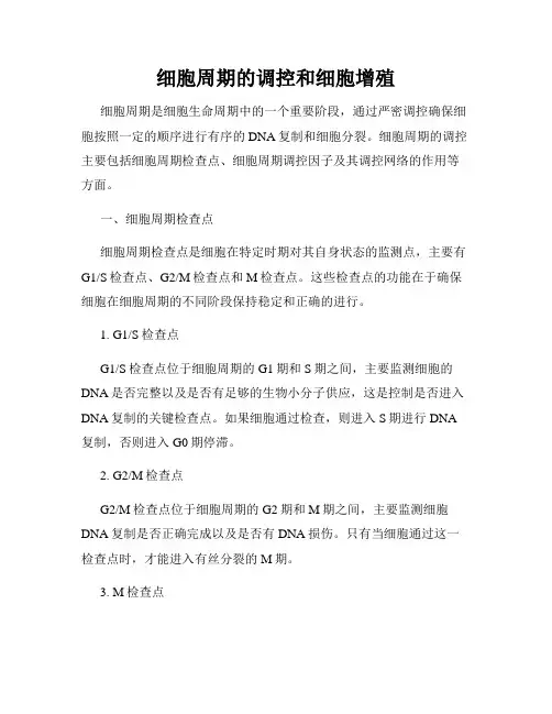细胞周期的调控和细胞增殖