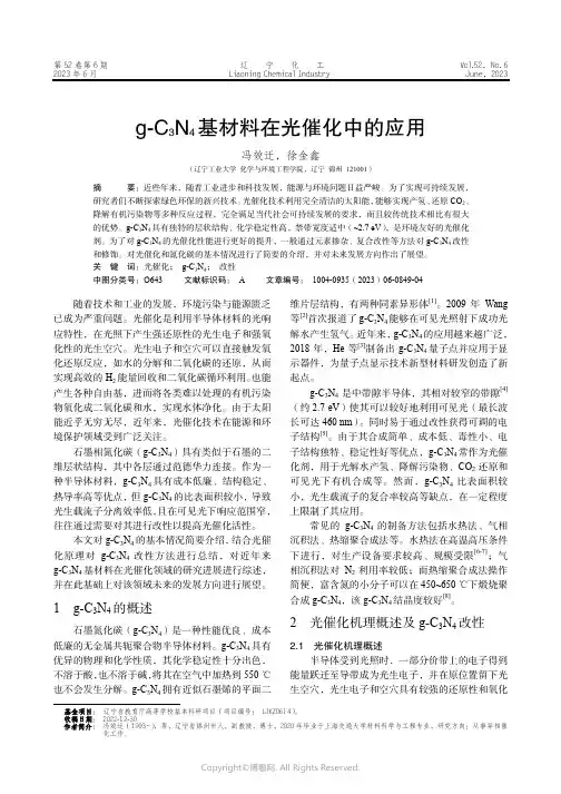 219413914_g-C3N4基材料在光催化中的应用