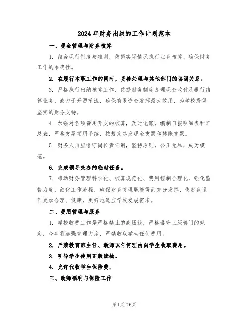 2024年财务出纳的工作计划范本（三篇）