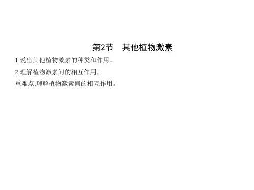 人教版高中生物选择性必修第1册 第5章 植物生命活动的调节 第2节 其他植物激素 (2)