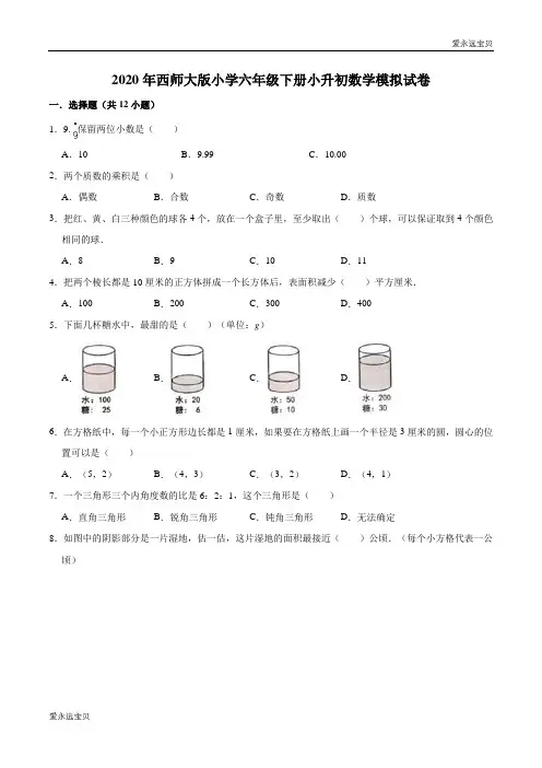 小学六年级下册小升初数学模拟试卷3(西师大版含解析)