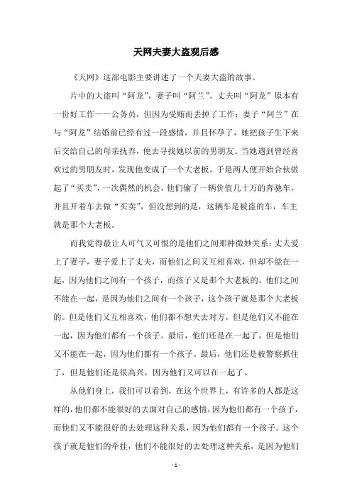 天网夫妻大盗观后感