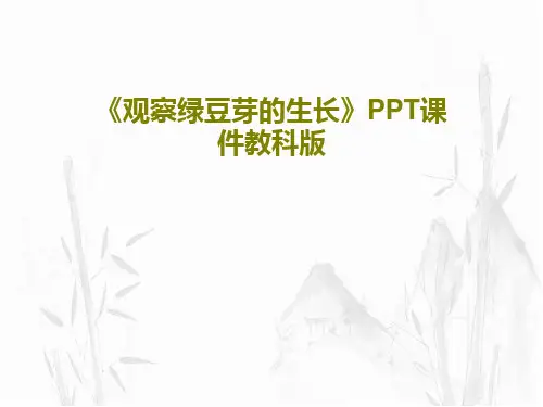 《观察绿豆芽的生长》PPT课件教科版PPT共24页
