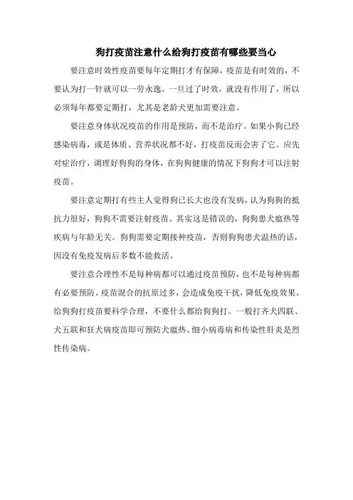 狗打疫苗注意什么给狗打疫苗有哪些要当心