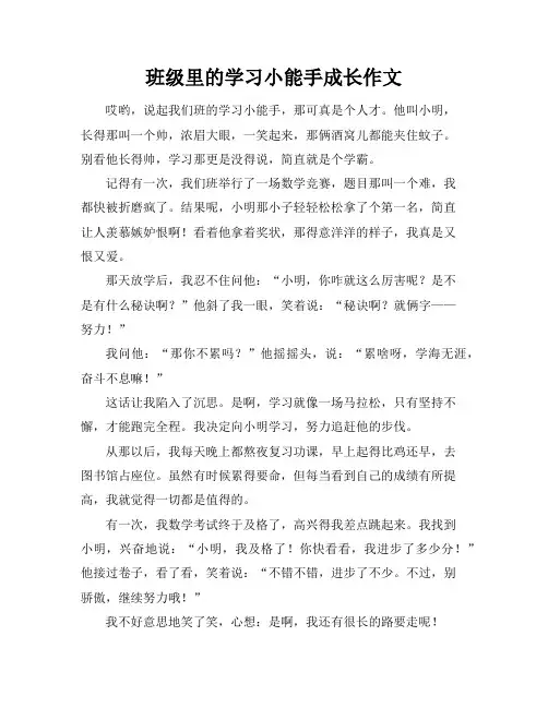 班级里的学习小能手成长作文
