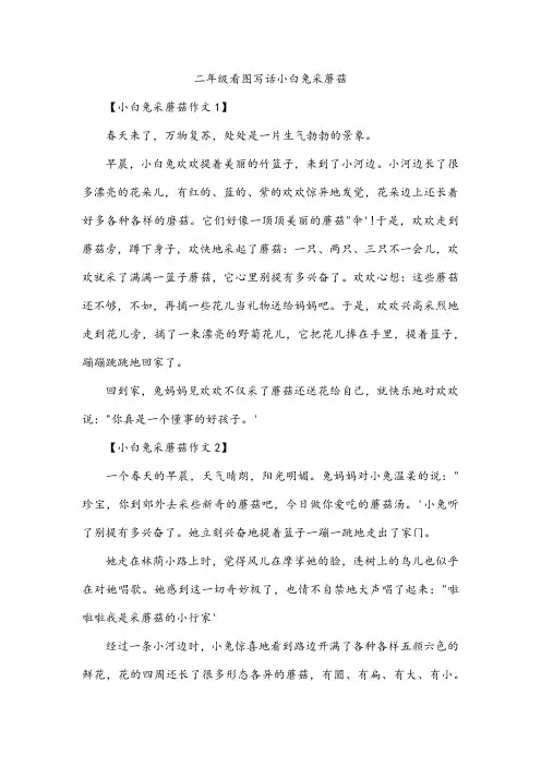 二年级看图写话小白兔采蘑菇