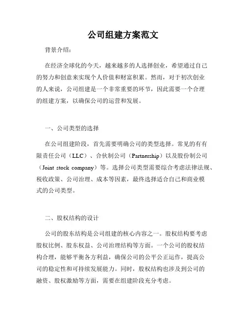 公司组建方案范文