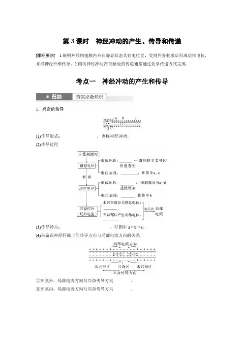 第8单元 第3课时 神经冲动的产生、传导和传递