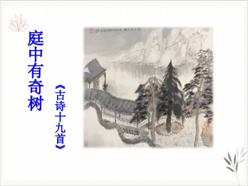 庭中有奇树课件ppt