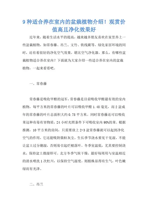 9种适合养在室内的盆栽植物介绍!观赏价值高且净化效果好