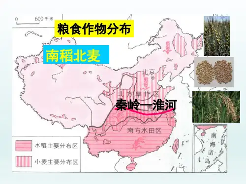 八年级地理上册  第四章中国的经济发展第二节农业第1课时农业及其重要性我国农业的地区分布课件26-3