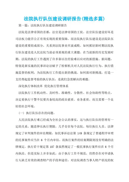 法院执行队伍建设调研报告(精选多篇)  