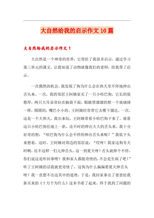 大自然给我的启示作文10篇