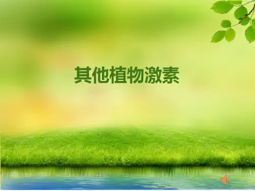 说课比赛-其他植物激素说课稿