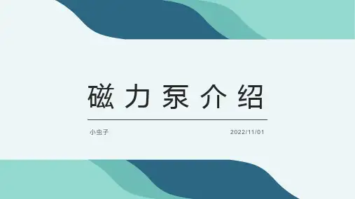 磁力驱动泵介绍