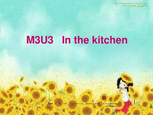 2a m3u3 in the kitchen 1