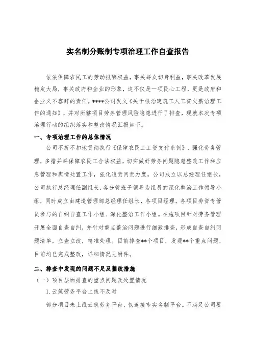 实名制分账制专项治理工作自查报告