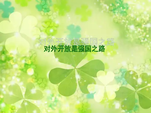 对外开放的基本国策ppt