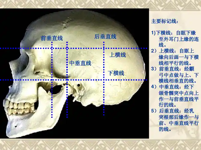 神经外科实用体表定位法