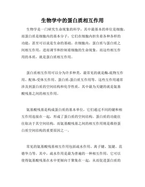 生物学中的蛋白质相互作用