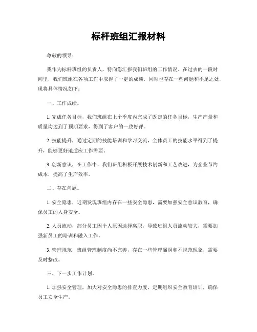 标杆班组汇报材料