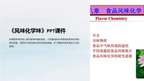 《风味化学味》课件