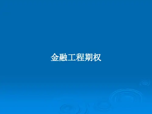 金融工程期权PPT教案