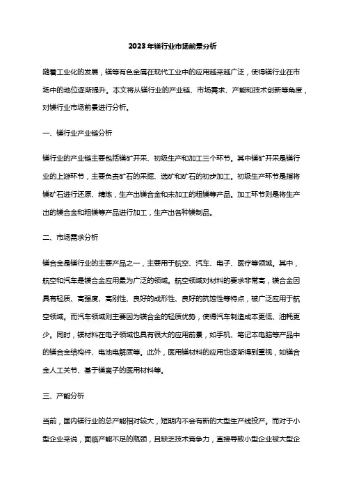 2023年镁行业市场前景分析