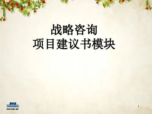战略咨询 项目建议书模块(PPT 97页)