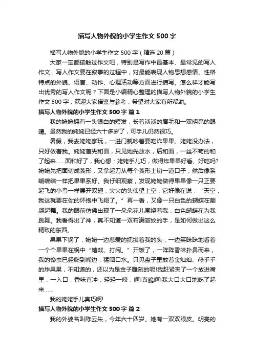 描写人物外貌的小学生作文500字（精选20篇）