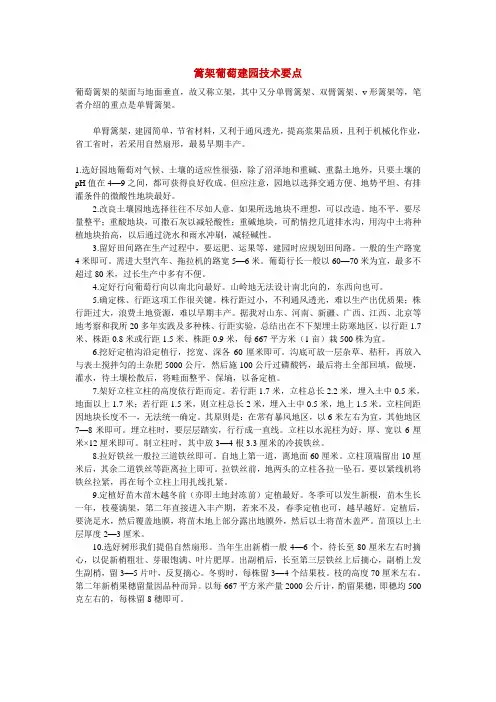 葡萄建园技术