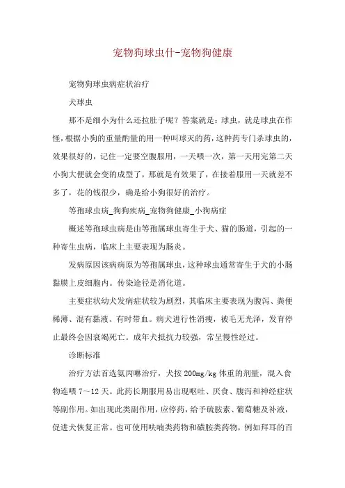 宠物狗球虫什-宠物狗健康