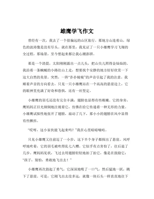 雄鹰学飞作文